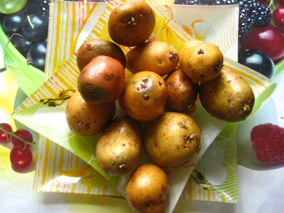 Сажаем картофель правильно - о высадке картошки легко и просто
